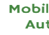 Mobile Service Auto Glass