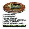Acotillo Tree Service, Inc.