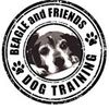 Beagle And Friends Dog Training